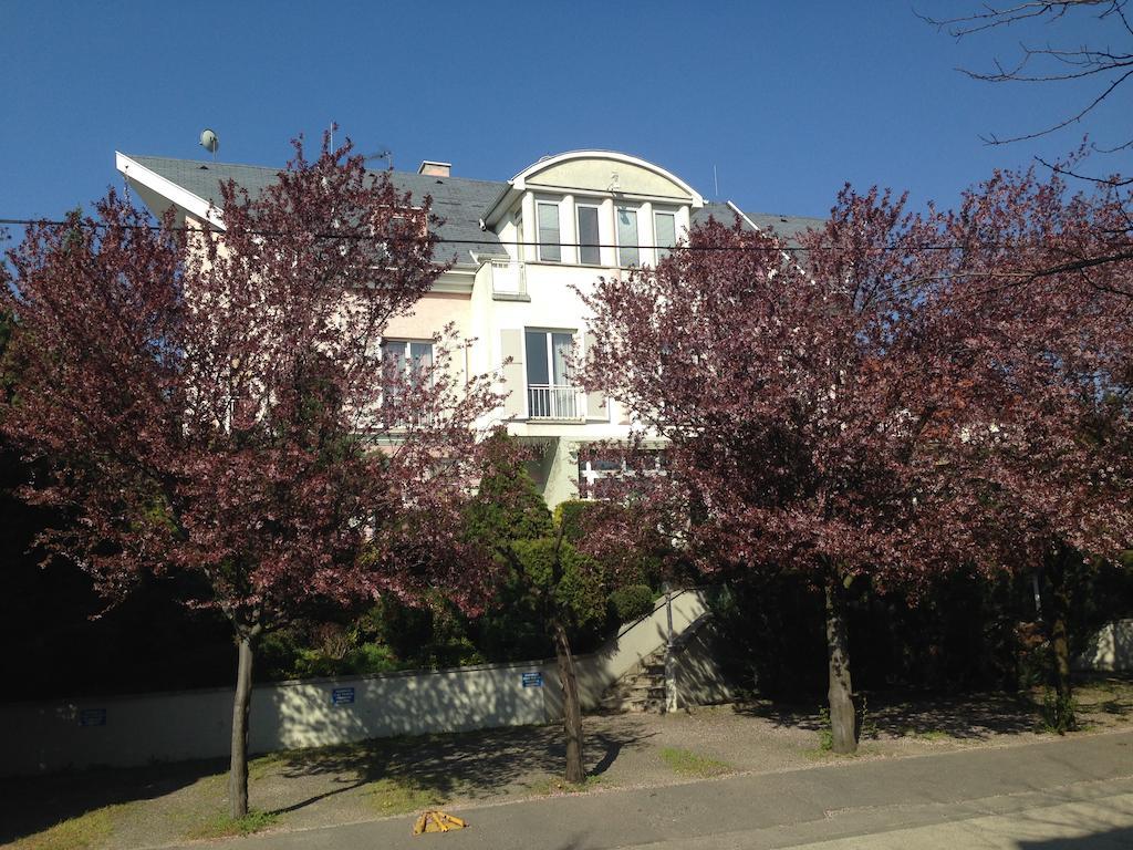 부다페스트 Belle Fleur Panzio B&B 외부 사진