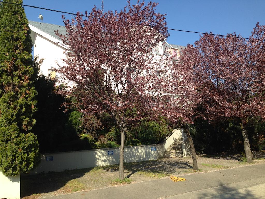 부다페스트 Belle Fleur Panzio B&B 외부 사진